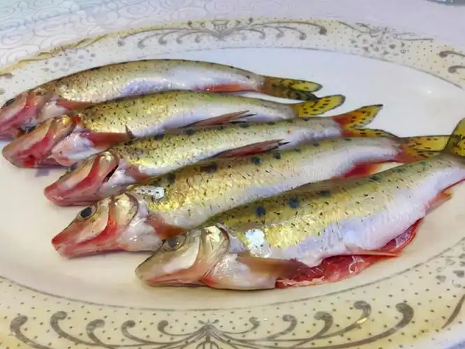 松花湖的什么淡水鱼好吃本地人推荐三花一岛刺少肉嫩味鲜