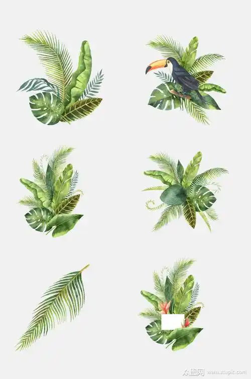 简约手绘热带雨林植物免抠元素素材