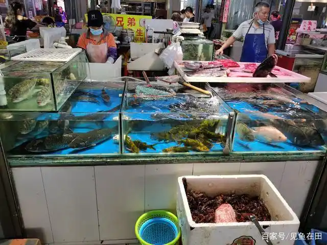 菜市鱼摊