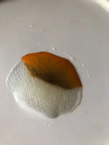 换水不小心蹭掉一片鳞片,三年的老龙鳞,估计恢复又得半年龙鳞之美