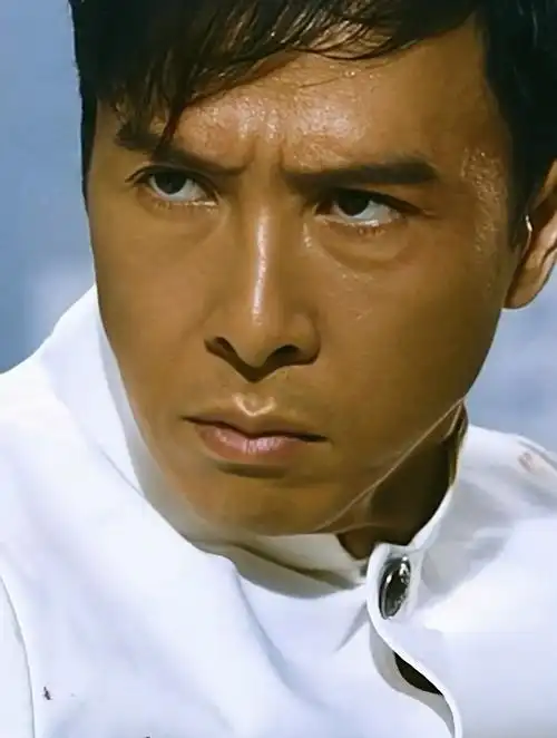 甄子丹 到底是陈真还是黑侠?不管了,反正他诠释了中国人的血性