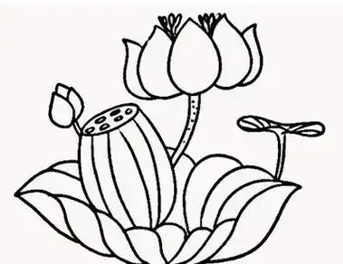 二年级简笔画荷花图片大全简笔画荷花怎么画荷花简笔画大全荷花简笔画