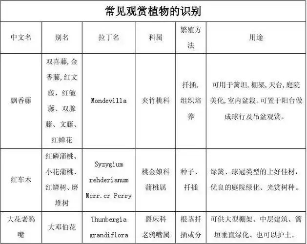 常见观赏植物识别_文档下载