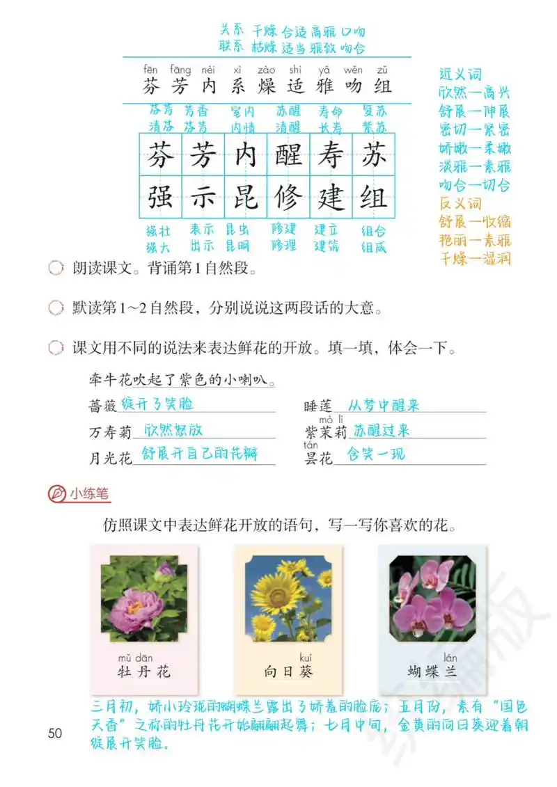 三下第13课《花钟》备课笔记