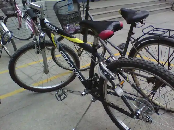 1 2013-06-16 这款捷安特自行车型号是什么呀?