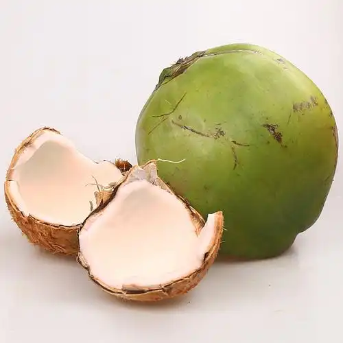 【xj】青椰子 海南新鲜椰子 带皮大椰青 嫩 h南可开发票 3个装