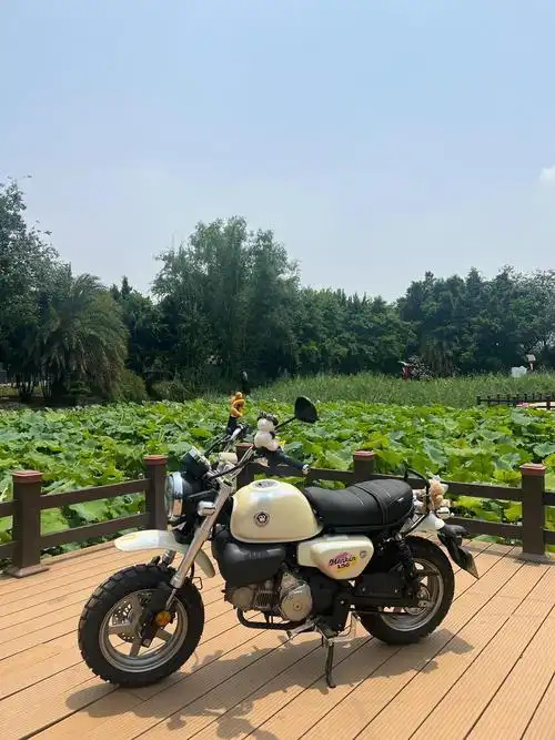 小个子女生的摩托车推荐
哈哈,说来有点搞笑,我就