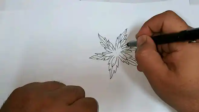 绘画习作相思断肠红