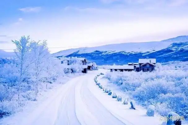 雪景拍照很开心,5个技巧,照片高级有意境