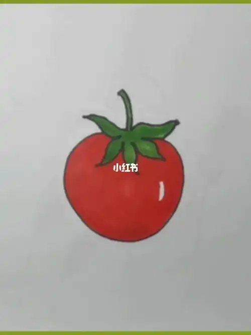西红柿又叫番茄,你们哪里叫啥呢##简笔画教程 #画个简笔画 #西红柿