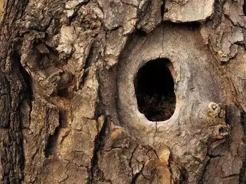 地上随处可见的各种洞洞简单操作带孩子玩起来好玩还省钱