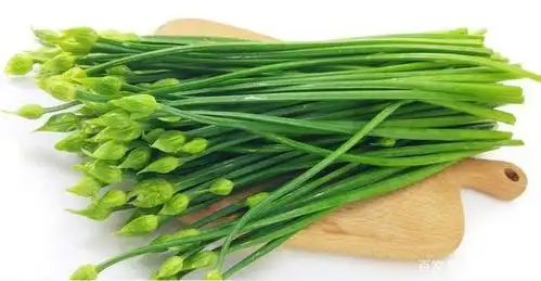 韭苔的几种新吃法,简单美味又下饭,学会了可以做给家人吃