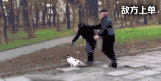 搜索"打架"-皮蛋表情包