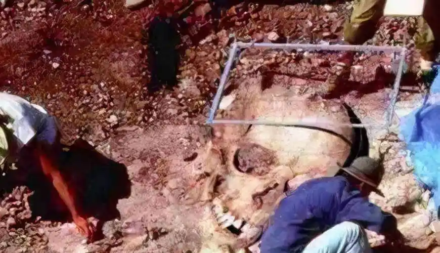 1962昆仑山螳螂人之谜_村民_事件_野人