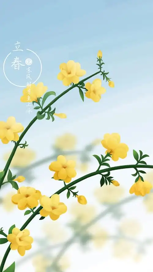立春迎春花手机壁纸丰盛良食手绘插画节气