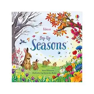 英文原版 pop-up: seasons 四季 2-5岁儿童英语启蒙早教绘本 科普季节