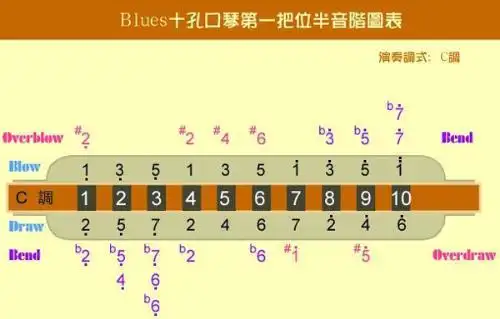 1234567在十孔口琴里对照那些孔