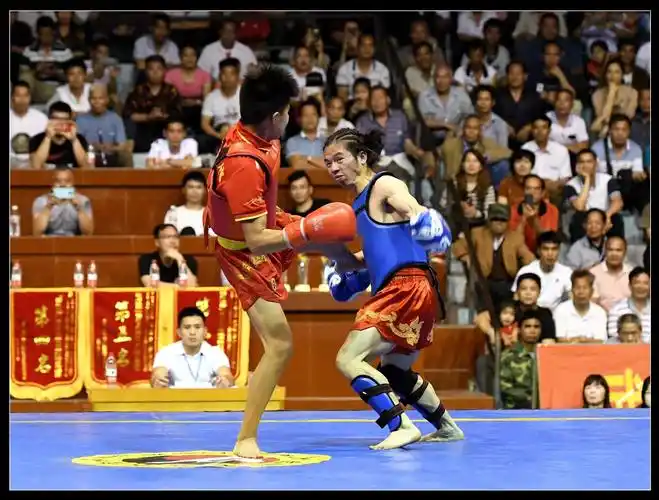 2019年中国壮乡·武鸣"壮族三月三"歌圩暨骆越文化旅游节第33届武术