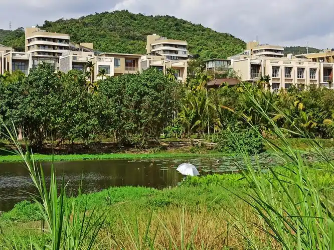 三亚万科森林度假公园