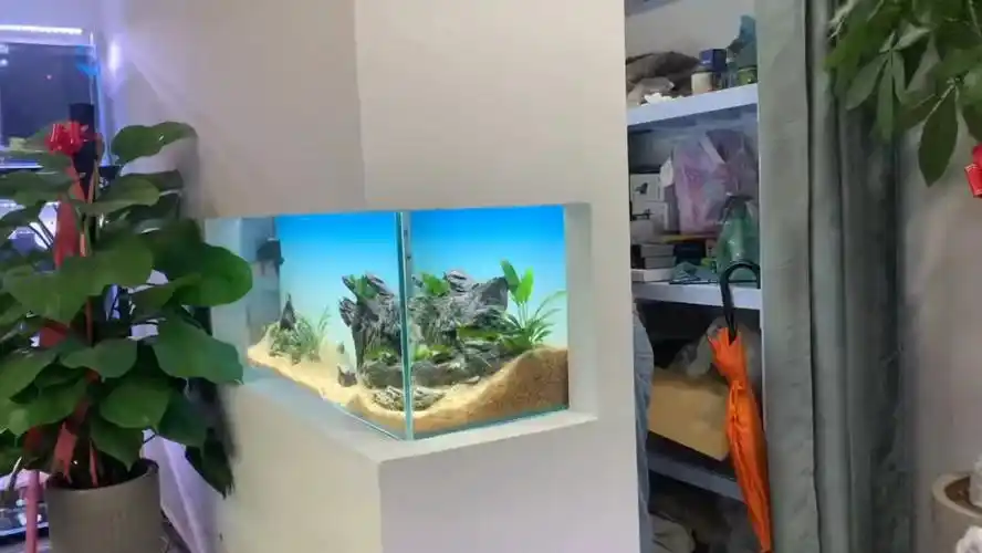 又是一个假墙体嵌入式鱼缸案例分享
