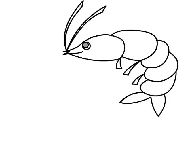 大虾怎么画 大虾简笔画-养娃家