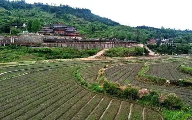 凯里炉山镇洛棉稻香渔歌促乡村振兴