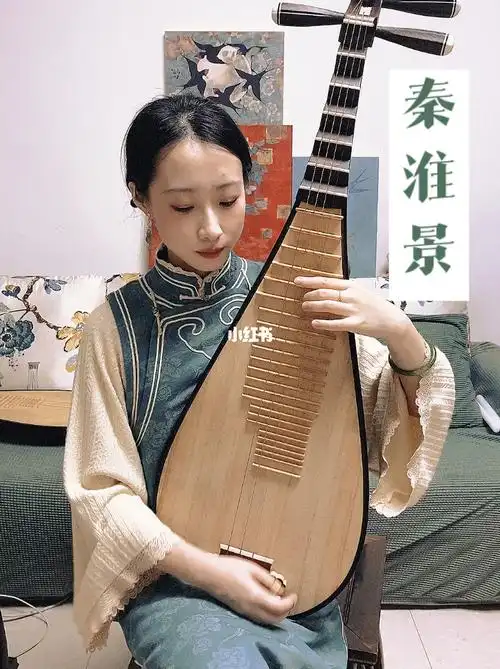 秦淮景琵琶专属