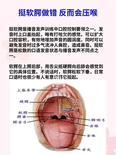 播音主持练声干货 | 挺软腭做错了会压喉哦_播音主