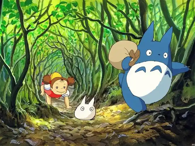 (龙猫的肚子为什么软绵绵)书评