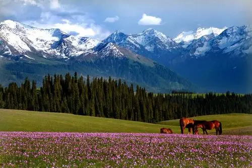 人生必去的新疆最美旅游目的地这个假期新疆为你备好各种风景