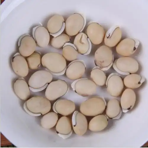 南方特产云南特产白扁豆精选药扁豆滋补中药材炖汤