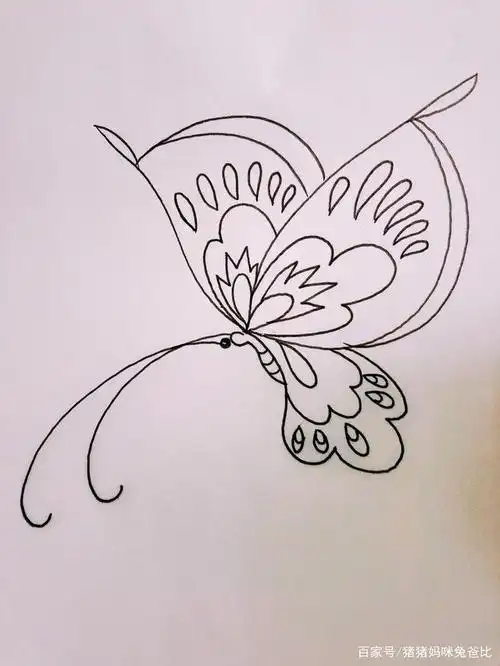 侧飞的蝴蝶简笔画水粉