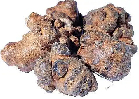 假三七骗局揭秘谨防文山三七这8种骗局