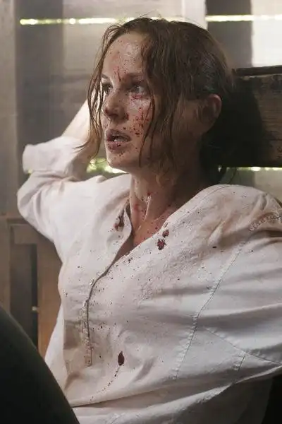 《越狱4》最新剧照曝光 莎拉受刑满脸血