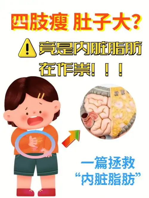 肚子大减不掉惊75竟是内脏脂肪在作祟