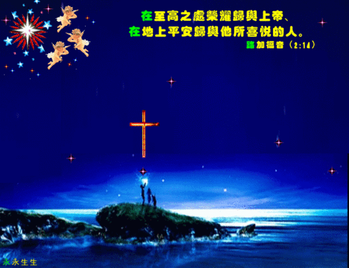 我是大树,欢迎欣赏我的日记