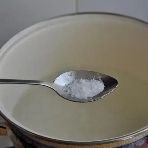 第4步,锅中放适量水,水开后放2g盐.