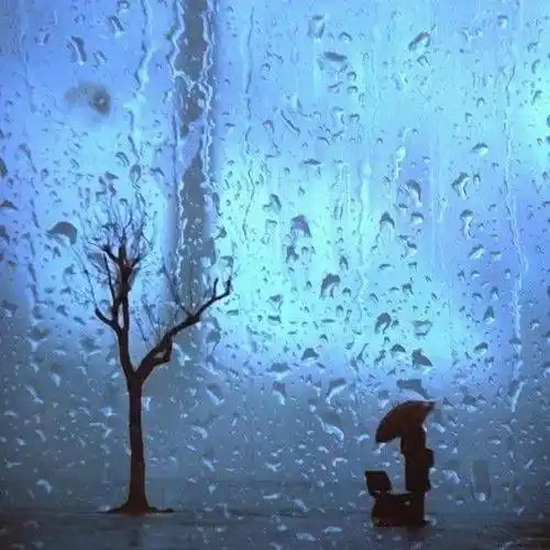 本周雨水扎堆天气凉爽