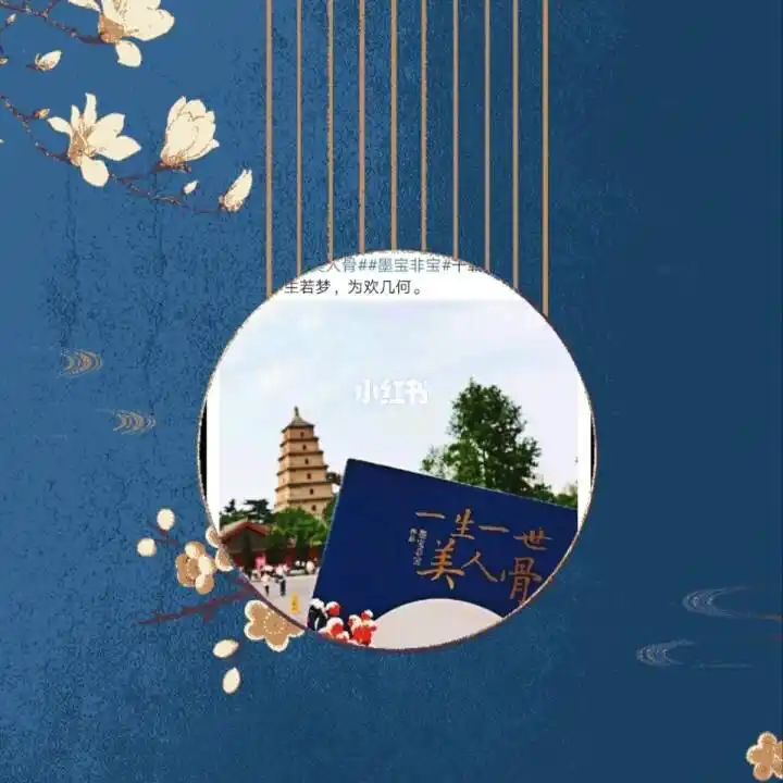 书名:《一生一世,美人骨》 作者:墨宝非宝 连载网络:晋江文学,已完结