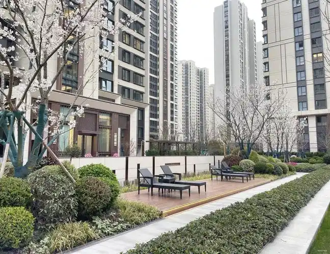 中粮瑞虹海景壹号