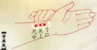 朱鹤亭"夏季养生"第1讲:夏季养心,养脾胃,养心功法