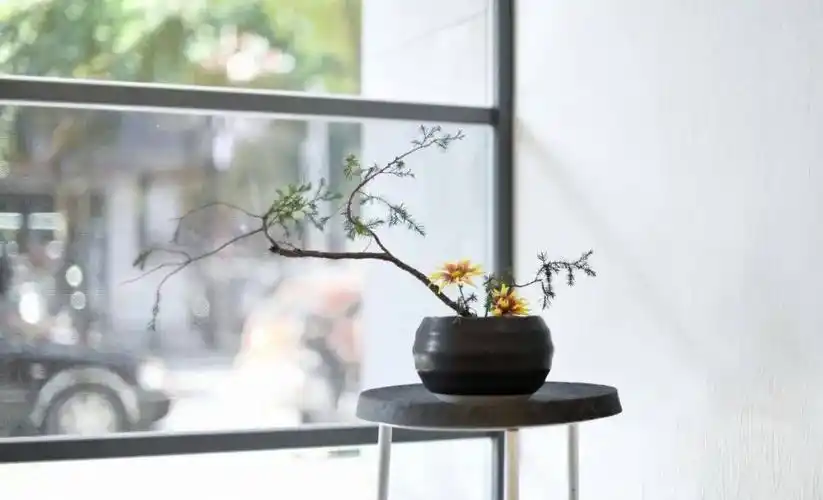 不知不觉中,人生已过半.仿佛弹指一挥间,我们的生命又画上了一道年轮.