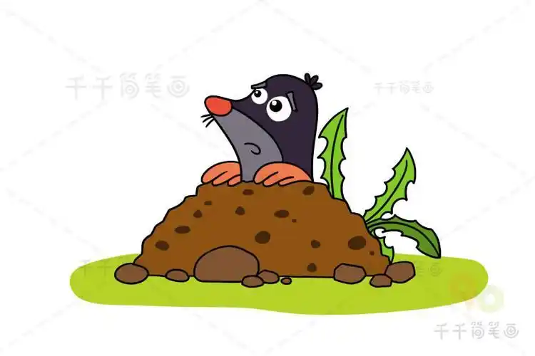 鼹鼠简笔画教程陆地动物简笔画