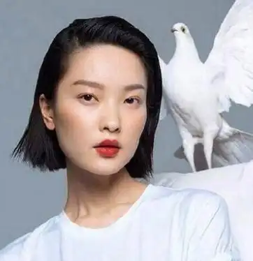 四个脸型的图片:申字脸,由字脸,甲字脸,国字脸.要女生的!_百度知道