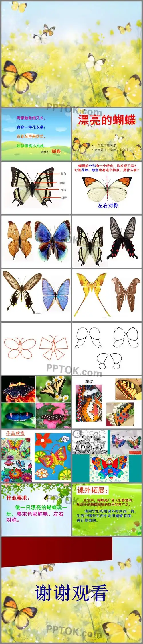 美术漂亮的蝴蝶ppt