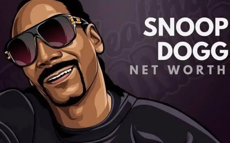 嘻哈巨星snoop dogg精选伴奏_哔哩哔哩 (゜-゜)つロ 干杯~-bilibili