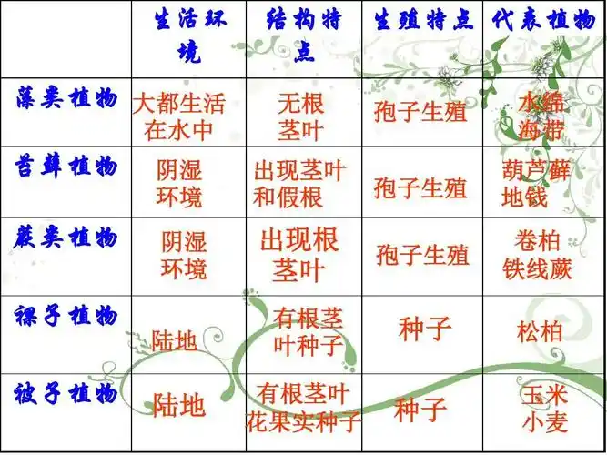 (济南版七年级上)ppt 生活环 境 藻类植物 大都生活 在水中 结构特