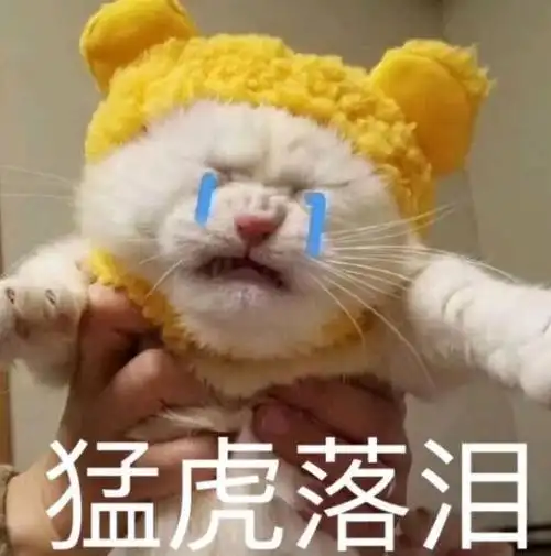 猛虎落泪表情图片聊天图片表情
