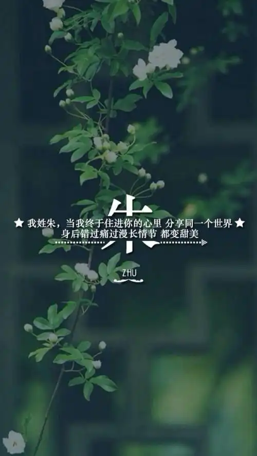(by拖沓囍天王)姓氏壁纸-我姓朱
