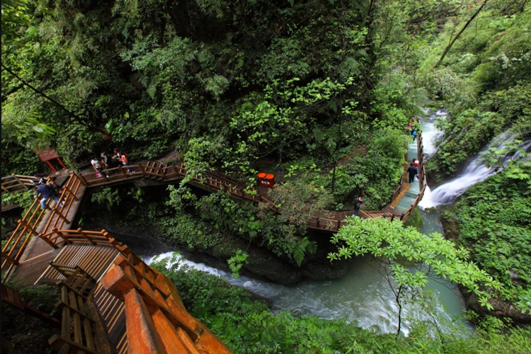 黑山谷风景区门票价格_重庆黑山谷风景区怎么样?
